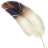 cqrlog