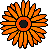 gerbera