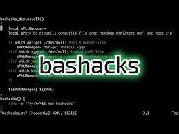 bashacks avatar